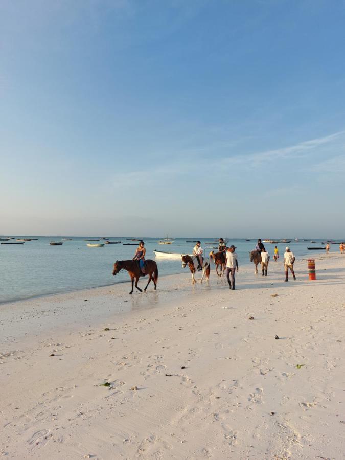 Nungwi Beach House Ngoại thất bức ảnh
